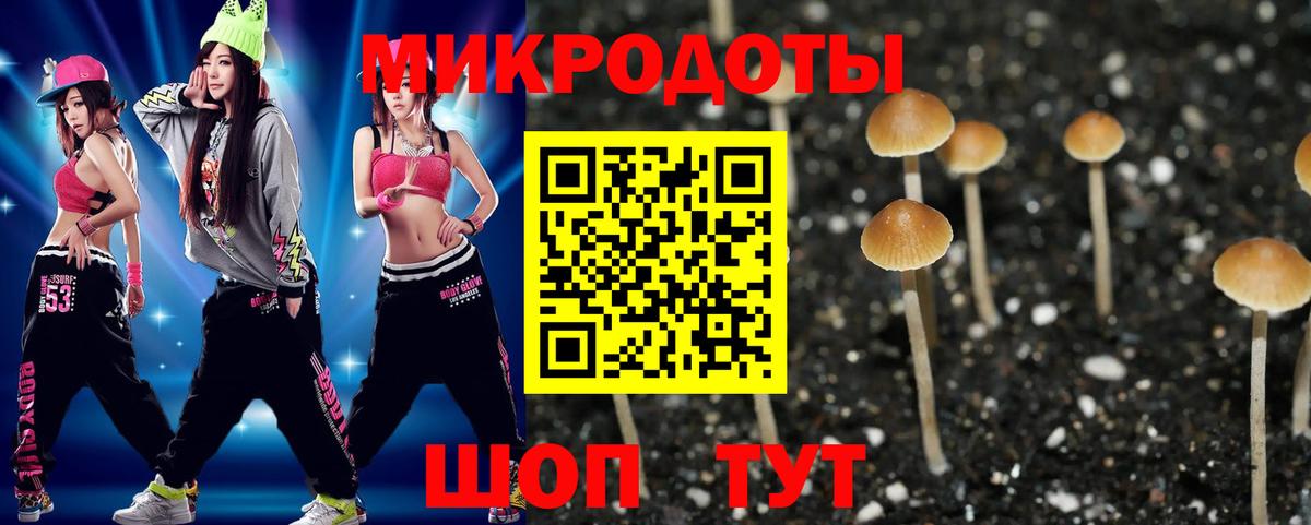 Псилоцибиновые грибы прущие грибы  Вход с VPN  Галлюциногенные грибы GOLDEN TEACHER  Полевской 